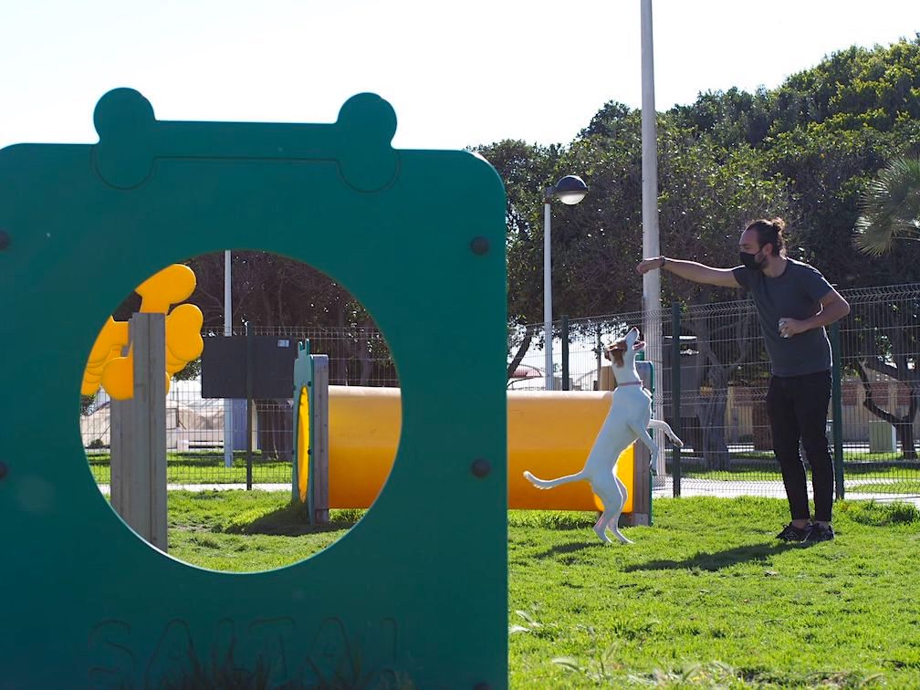 Parques para perros en Valencia, ¿cuál elijo? - Saludes Play